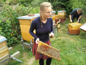Bienen1