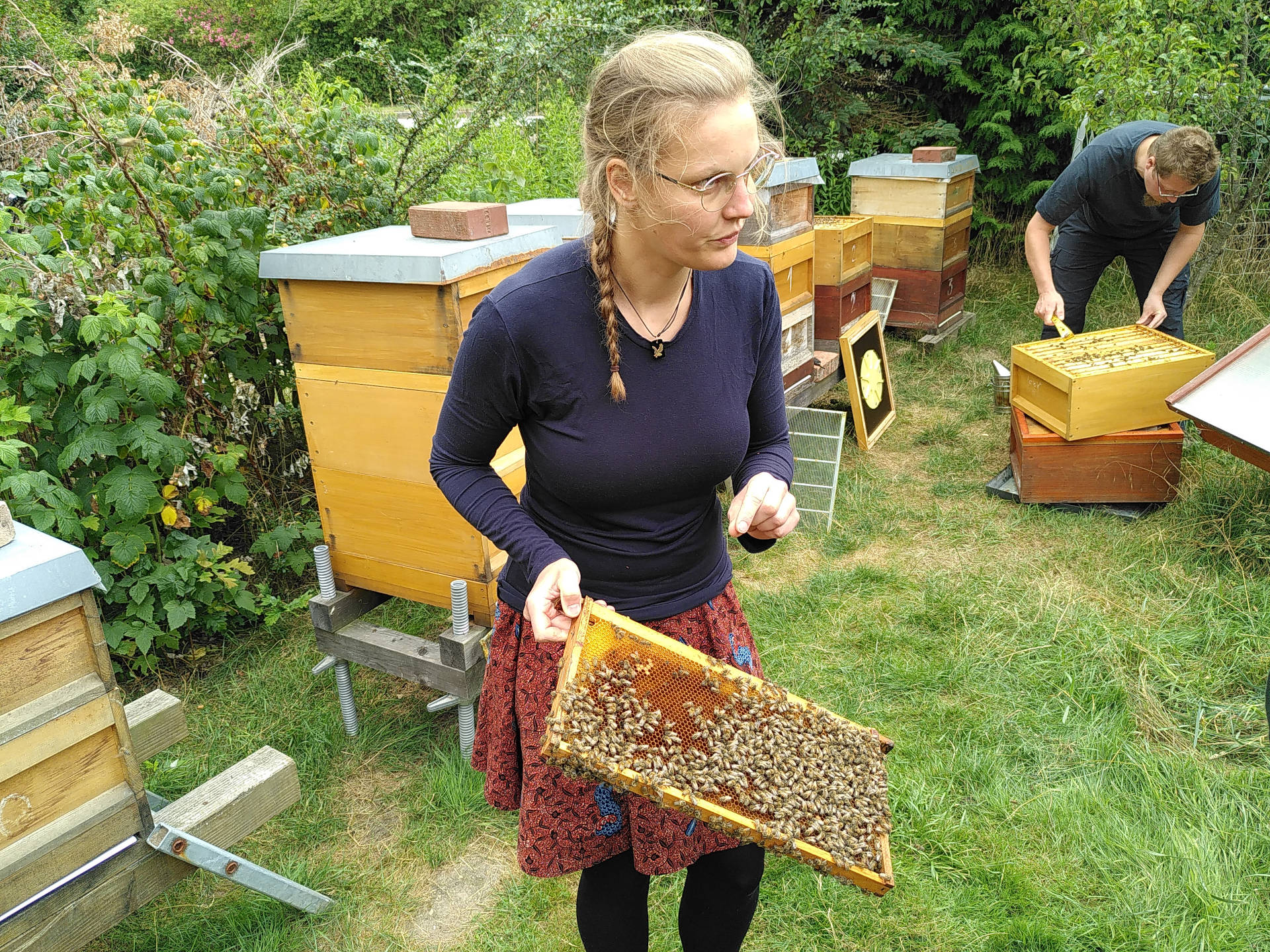 Bienen1