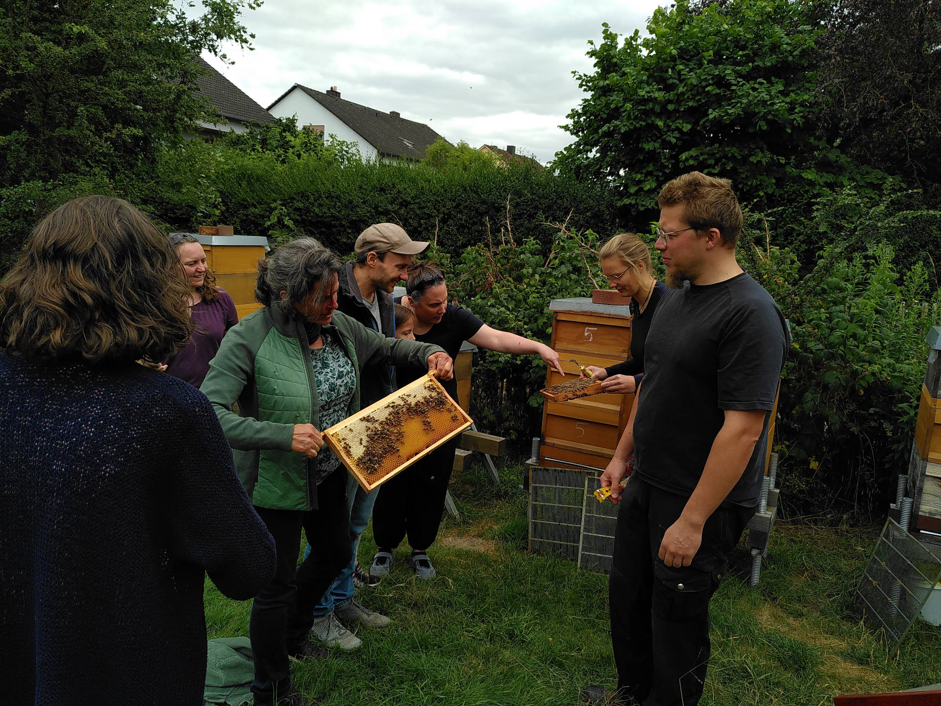 Bienen3