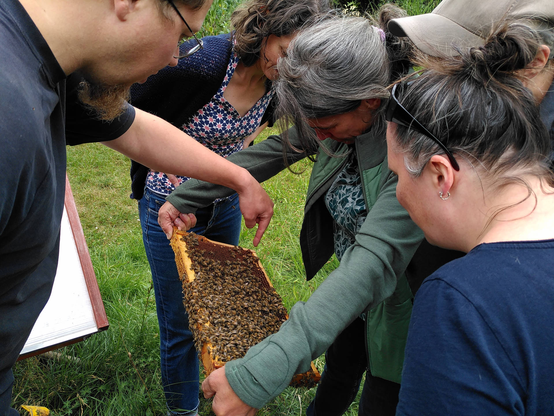 Bienen4